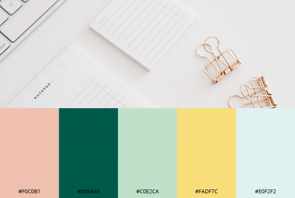 portfolio palette de couleurs mg gestion de projet
