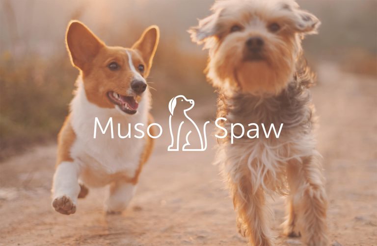 muso spaw photo principale