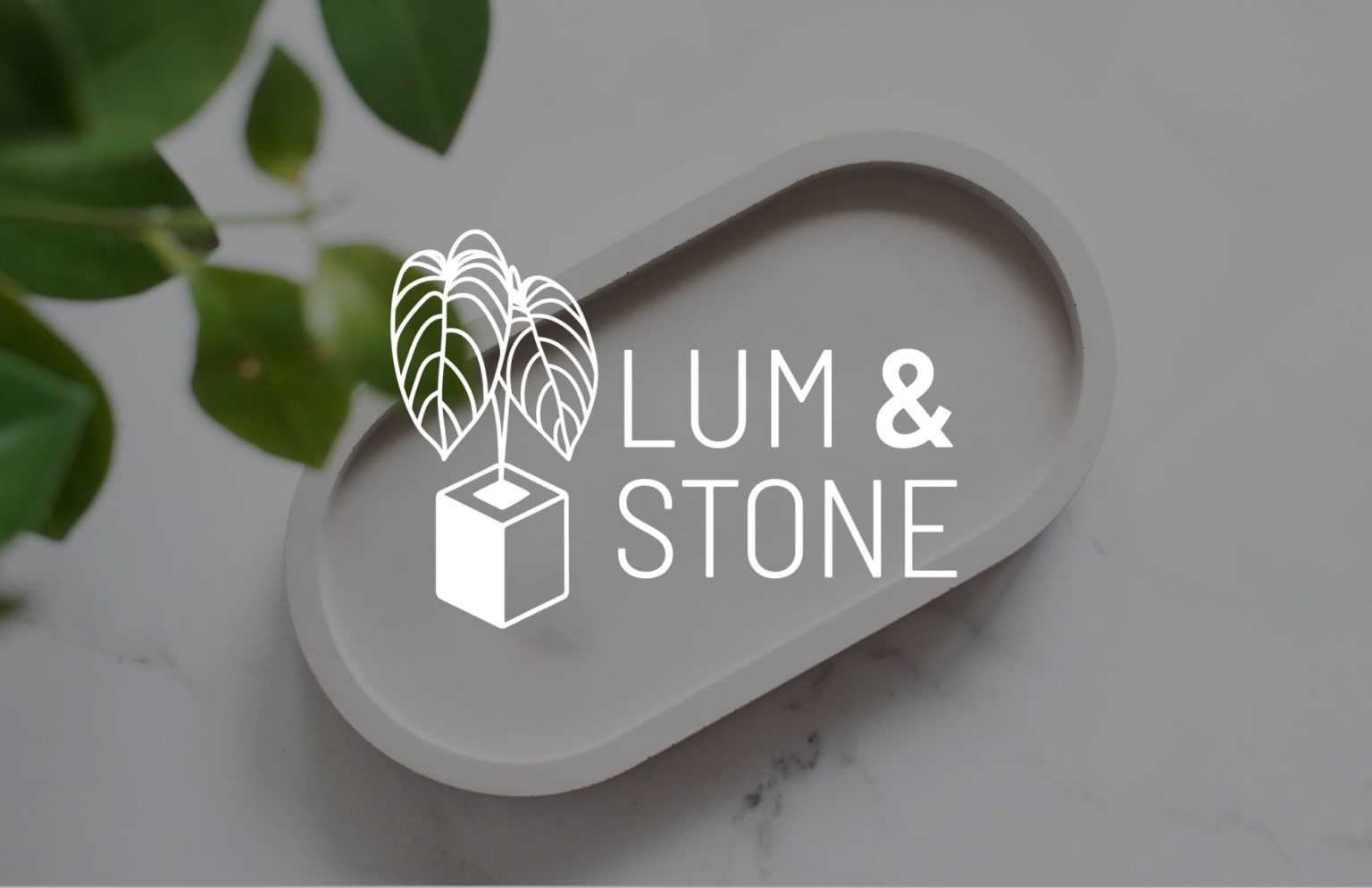 moose agence marketing lum stone principale2