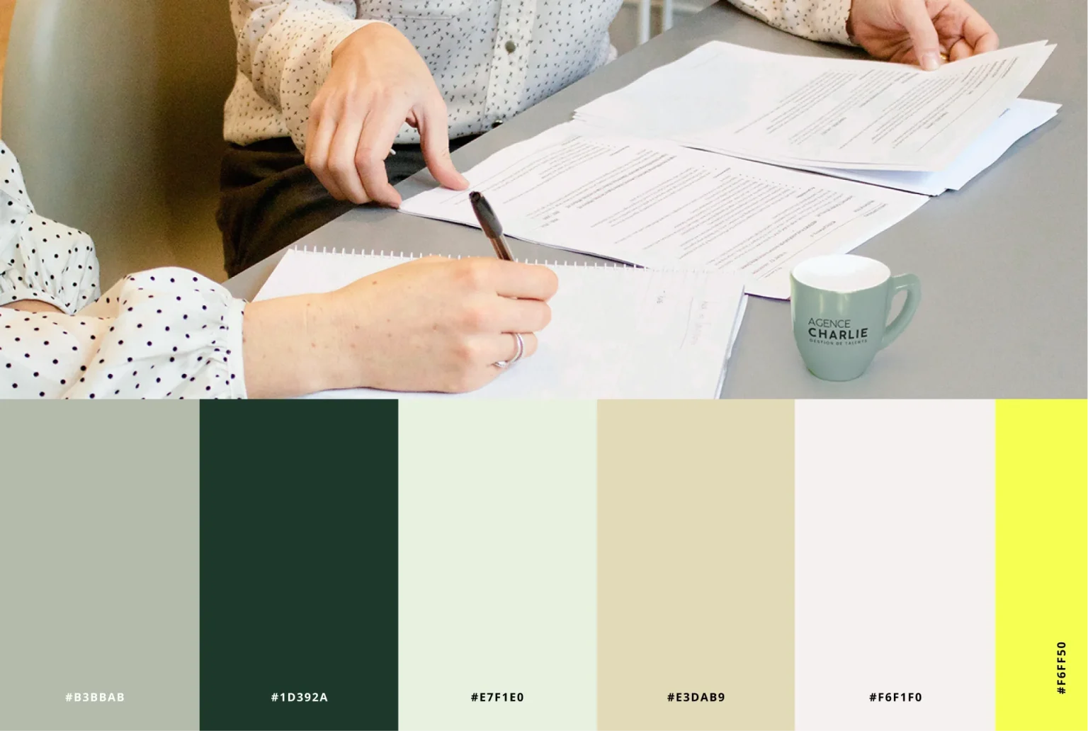 moose agence marketing portfolio agence charlie couleurs
