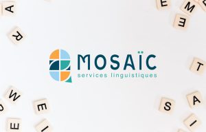 moose agence marketing portfolio mosaic principale min