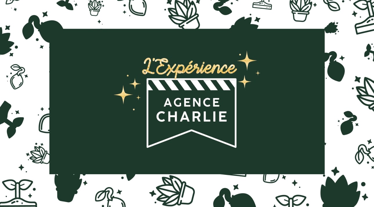moose design web Agence Charlie