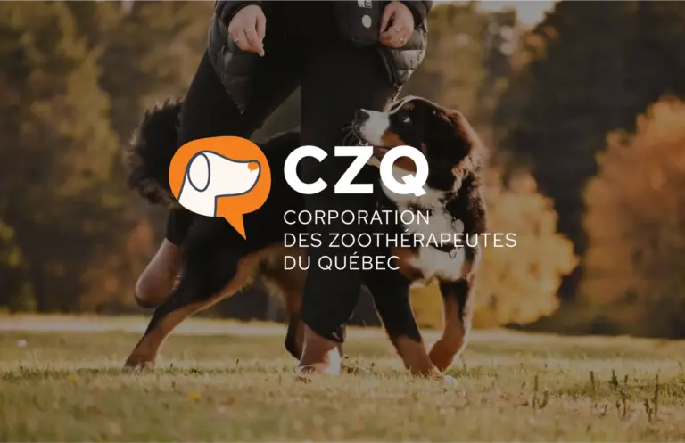 moose agence marketing potfolio corporation zootherapeutes quebec principal