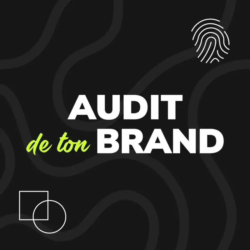 moose-agence-marketing-audit-brand