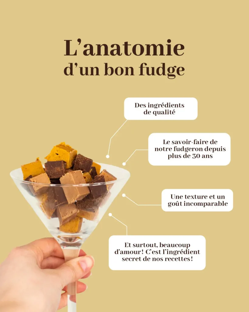 moose agence marketing photo reseaux sociaux anatomie fudge