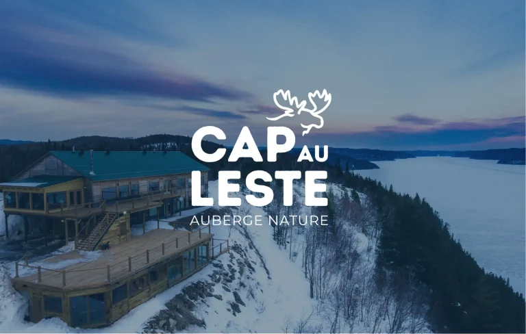 moose agence marketing potfolio cap au leste principal