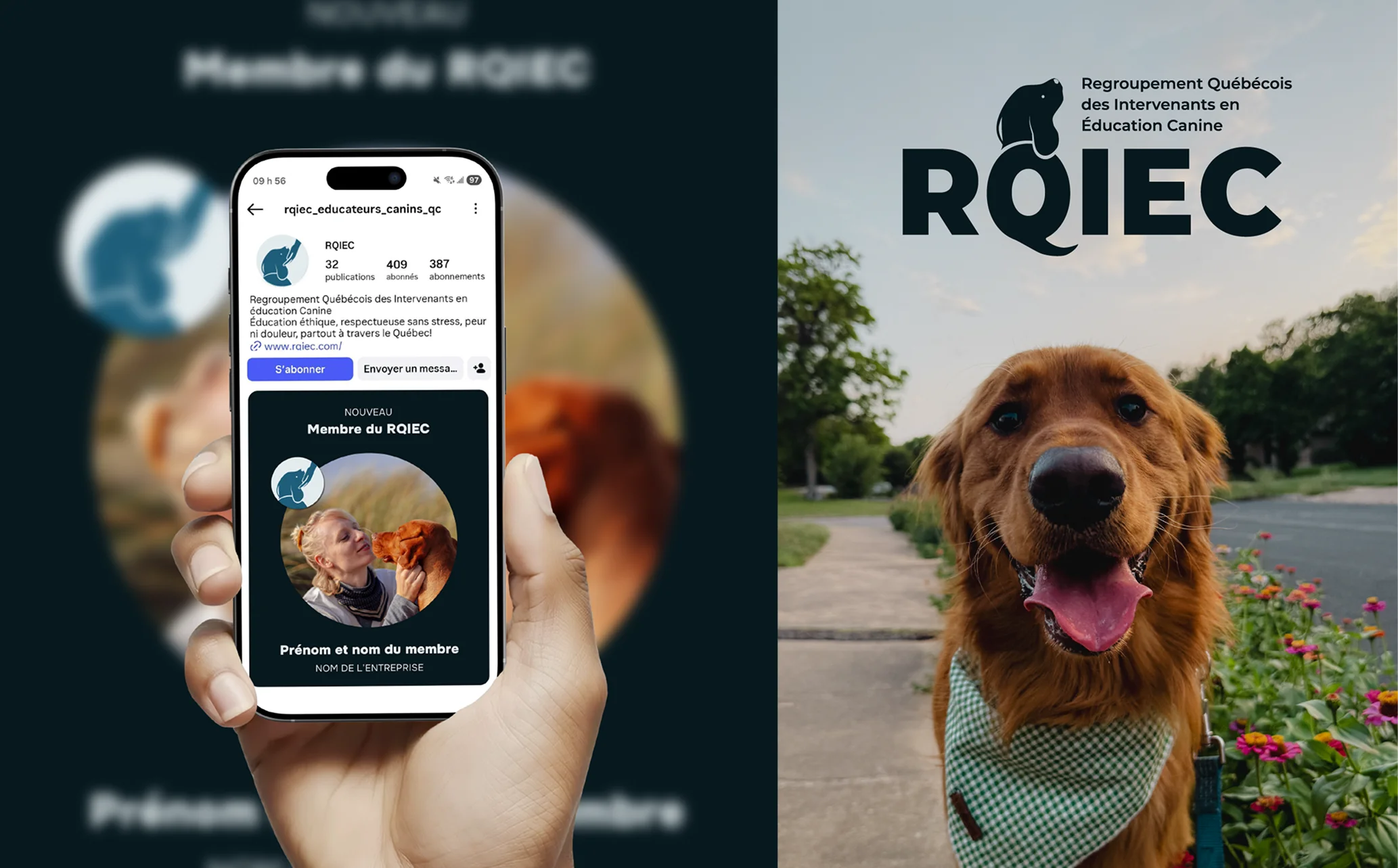 moose agence marketing portfolio rqiec mise en situation2