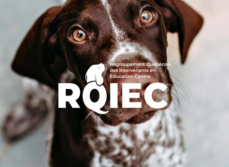 moose agence marketing portfolio rqiec principal