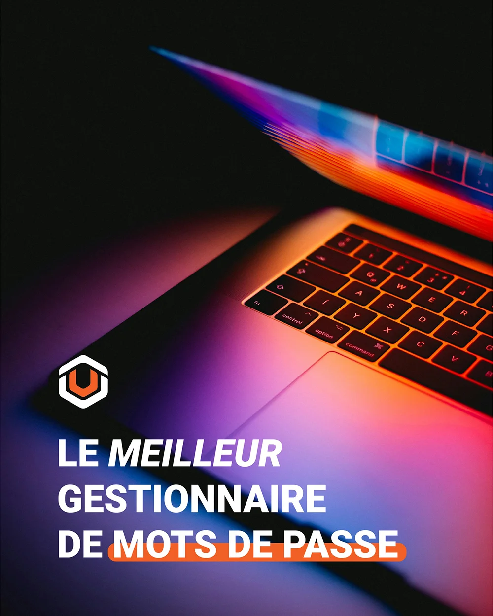 moose agence marketing contenu