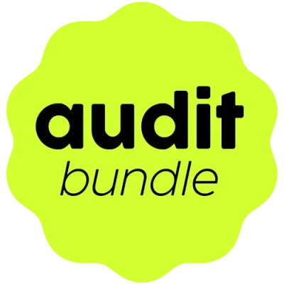moose-agence-marketing-audit-bundle