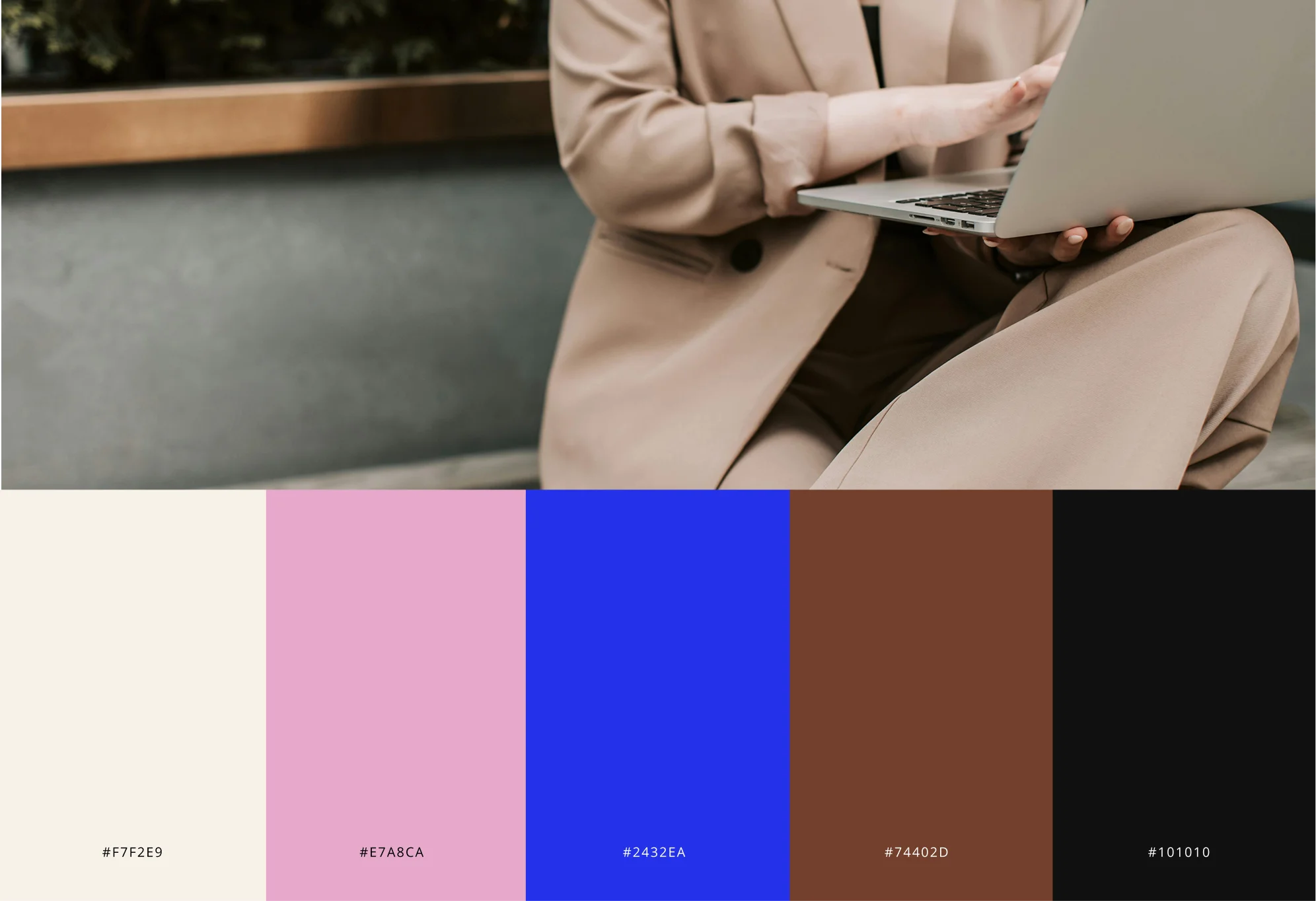 moose agence marketing portfolio roxanne letourneau couleurs